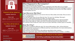最新报告：勒索病毒创作者或是中国人(图)