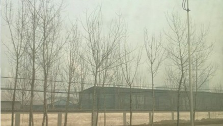 河北省辛集市污染嚴重