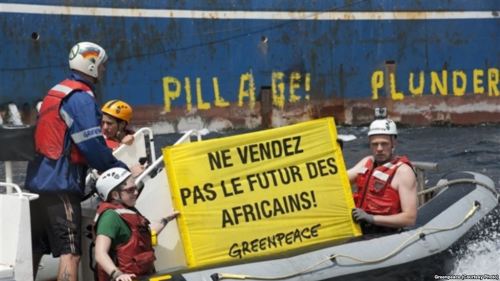 绿色和平组织揭露西非海域的一些违法违规捕捞活动