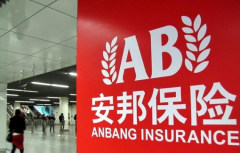 財新再揭安邦醜聞習王沒抓吳小暉內幕驚人(圖)