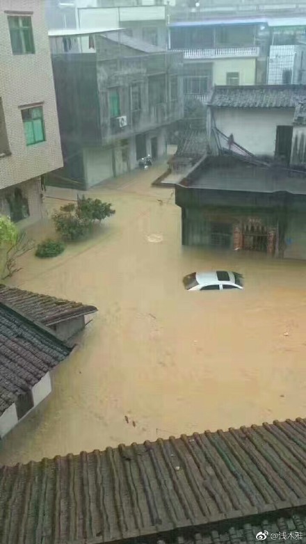 广州暴雨 房塌桥断 汛情告急