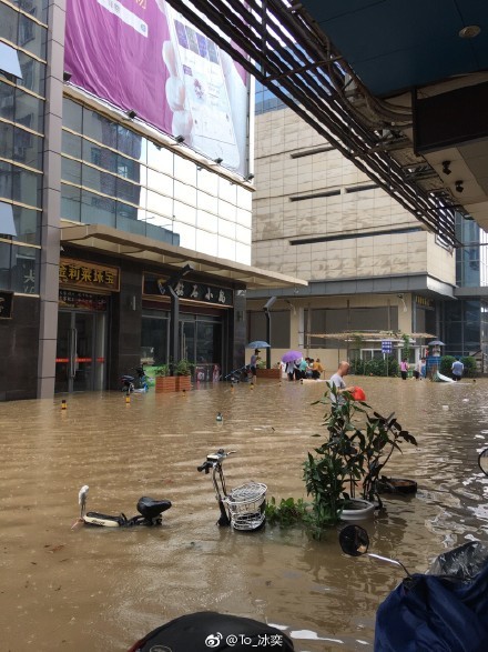 暴雨袭广州洪水20年一遇