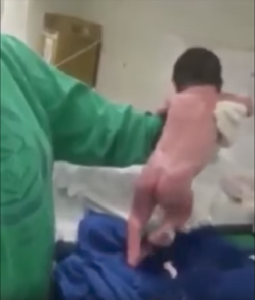 新奇！新出生的婴儿能行走图/视频
