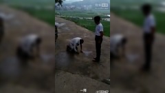 逆子陸男逼迫九旬老父跪地叩頭(圖)