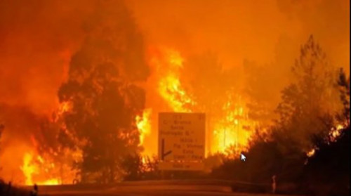 葡萄牙總理科斯塔表示，此場森林大火是該國近年來最嚴重的
