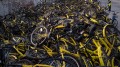5個月損失百萬大陸首家共享單車倒閉(圖)