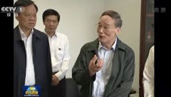 王岐山現身稱習洞察問題根本(圖)