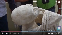 三根手指的外星人木乃伊(图)