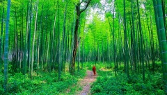 阴间也有落难土地神令人感佩(图)