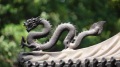 民間傳說「蜥蜴」與龍有親密關係(圖)