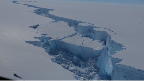 南極大冰川崩裂對海洋和人類有何影響？