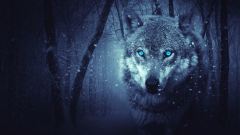 中共已把「狼性文化」樹作隱性意識形態(圖)