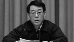 楊煥寧落選十九大代表劉雲山親家玄了(圖)