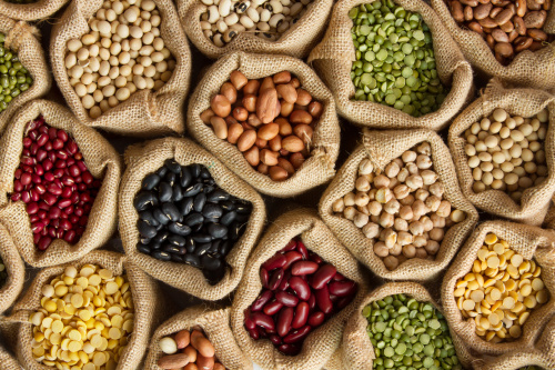 豆類是一種含有高蛋白的食物，對身體有好處。