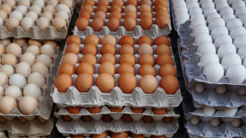 鸡蛋含有丰富的蛋白质、脂肪、维生素和铁、钙、钾等人体所需要的矿物质。