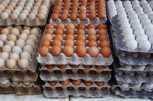杀虫剂污染鸡蛋欧洲扩散 流入英法