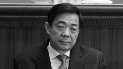 總書記「雙規」在位政治局委員已成規律(圖)