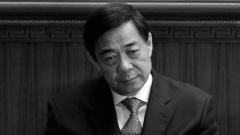 策劃唱紅成一枕黃粱薄熙來文膽被倒查的宿命(圖)
