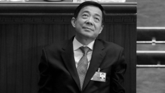徹底肅清薄熙來遺毒大連8天9次表態(圖)