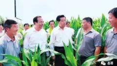 網曝孫政才一張合照一名前常委危矣(組圖)