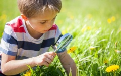 意識可能是一個獨立的微觀物質(圖)