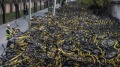 1000輛單車幾近盜光再有共享單車公司倒閉(圖)