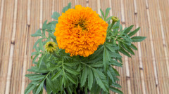 花露水居然這麼好用多備幾瓶吧(組圖)