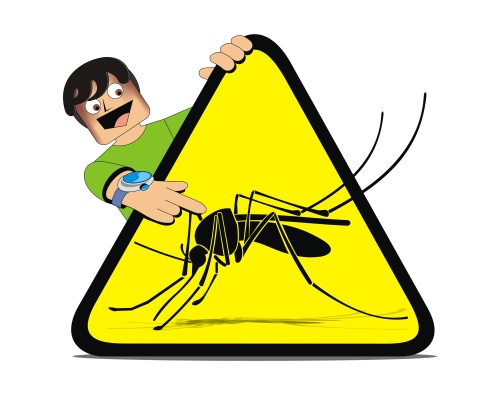 蚊子是如何叮上你的？