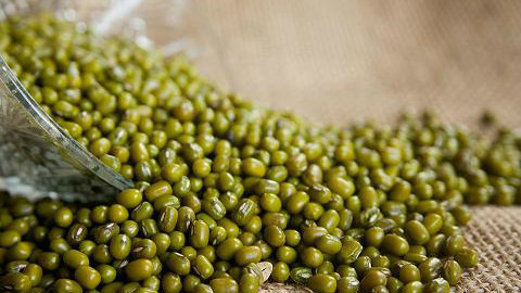 中医认为绿豆可以解百毒。