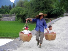 窮人的孩子早當家(圖)