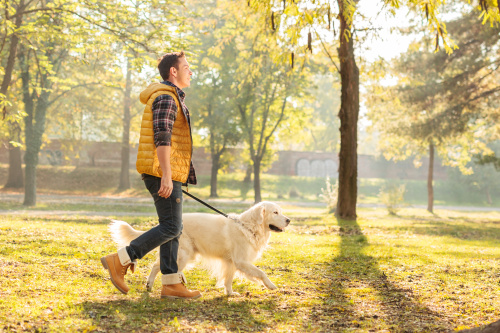 带狗狗散步也是进行走路运动的好方法