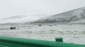 青海玉树州夏日变“冬季”气温降至0℃(图)