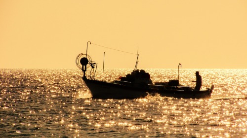 有豐富海釣經驗的船長莊喬惠13日與釣友一起在北方三島附近海域釣到一條161臺斤的七帶石斑。（圖片來源：pixabay） 