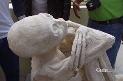 「外星人木乃伊」是造假騙局或是真實遺骸(組圖)