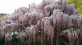 黑暗中沒有美與醜只有善與惡(圖)