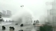 「天鴿」重創珠三角水淹機場釀2亡(組圖)