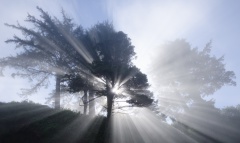 不可重複現象的啟示你做戲它知道(圖)