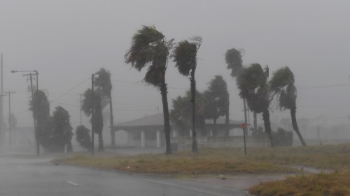 哈维飓风登陆德州