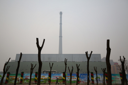 中国不计成本和后果的发展经济，引起植物灭绝危机。
