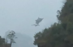 中國發現翼龍神秘生物視頻熱傳(圖)