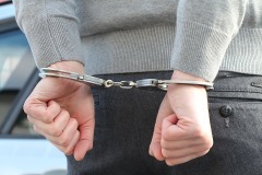 中國式追捕：抓住外逃官員的美國籍孩子(圖)