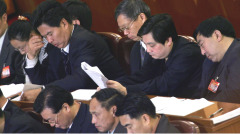 傳十九大嚴控高官出國陝西高官「突圍」(圖)