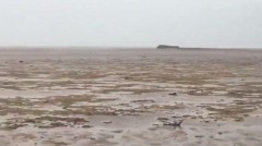 飓风竟卷走巴哈马海水大海变戈壁(组图视频)