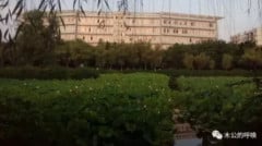 大學副教授：嘻我終於被掃出門了(圖)