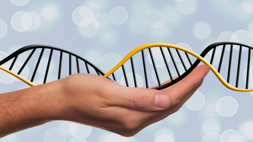 中國推進人體DNA編輯試驗令西方科學家擔憂。