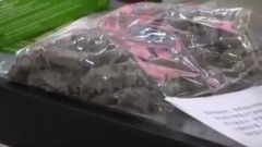 攤位現禁品中國會展朝鮮銷售員被抓包(圖)