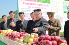朝鮮危機升級金三胖到底要什麼(圖)