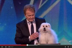 不可思议小狗也会“说人话”(视频)