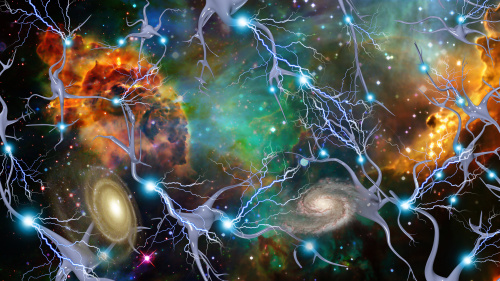 宇宙其實是一個巨大生命體？