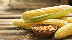 這8種食物助您調理腸胃對抗秋季乾冷(組圖)